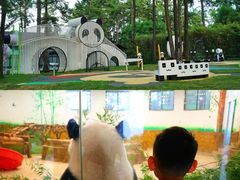 -安吉龙王山峡谷漂流