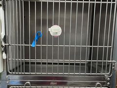 -瑞派·关忠动物医院·异宠专科·犬猫肿瘤·皮肤专科(望京店)