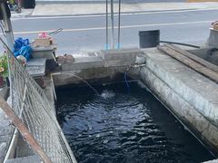 -北京龙庆四季香农家饭庄·灶台鱼·碳烤虹鳟鱼(龙庆峡店)