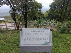 -广州市帽峰山景区