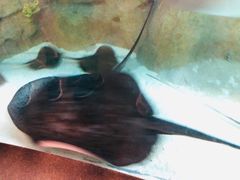 -珠海横琴国家地理探险家中心(创新方)