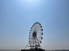 -奉贤海滩
