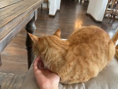 -Vanillacafe香草咖啡(银海大世界店)