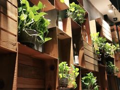 -比格比萨自助(花园路店)