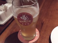 -Boxing Cat Brewery拳击猫精酿啤酒馆(永福店)