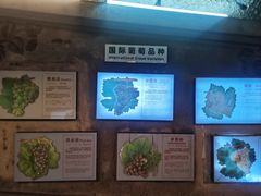 -青岛葡萄酒博物馆