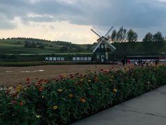 -莲花山花海