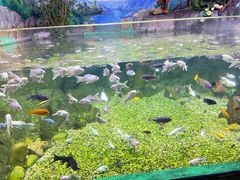 -常州海昌海洋探索馆
