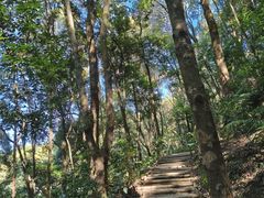 -广州市帽峰山景区