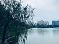 -厦门五通客运码头