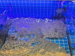-大众海鲜(巨龙北路店)