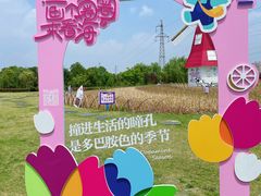 -菊园百果园