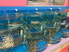 -烁佳海鲜大馅饺子
