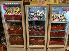 -太婆天府山珍酒楼(亚运村店)