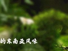 -荷花泰菜(东方新天地店)