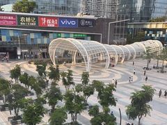 -润园四季椰子鸡火锅(南山海岸城店)