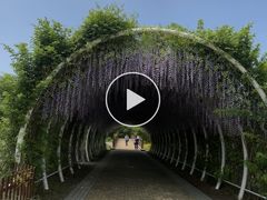 -同里国家湿地公园