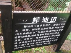 -青青世界