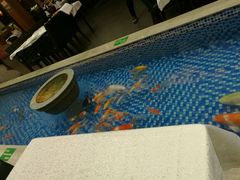 -盆满钵满·国家非遗传承(云台店)