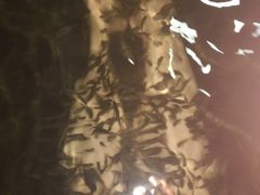 -龙达温泉生态城