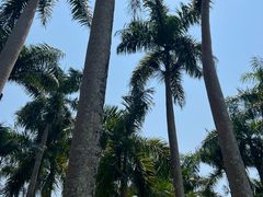 -中国科学院西双版纳热带植物园