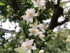 -南通洲际绿博园