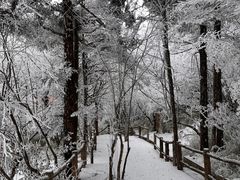 -峨眉山风景名胜区