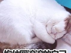 -韩礼年糕(飞虹路店)