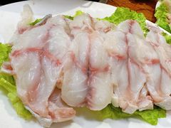-金砂阿洲鱼册店