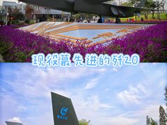 -成飞公园