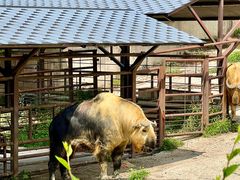 -沈阳森林动物园