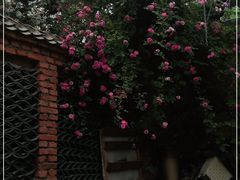 -小仙居·农家宴烤羊· 农庄
