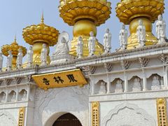 -上海东林寺(金山区)