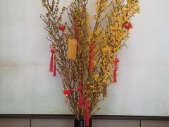 -上海崇明金茂凯悦酒店