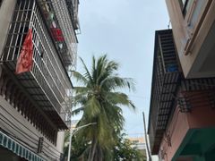 -后海村