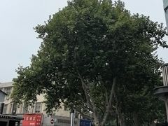 -凡老头米线砂锅(古荡新村西粮站)