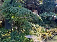 -Ohkajhu Organic Farm Sansai