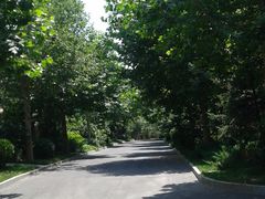 -天鹅湖生态旅游风景区