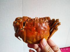 -丫丫蟹庄·苏式园林农家乐·阳澄湖大闸蟹(阳澄湖莲花岛店)