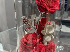 -ROSEONLY诺誓(国际广场购物中心店)