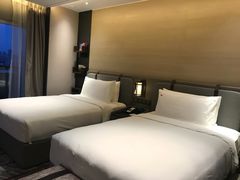 -新加坡瑞士史丹福酒店