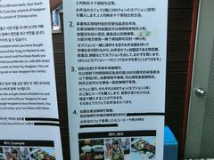 -通仁市场
