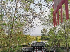 -合肥滨湖国家森林公园