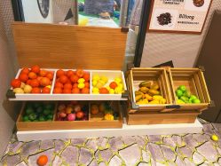 -卡通尼·Safari非洲探索乐园·生日会(金桥国际商业广场店)