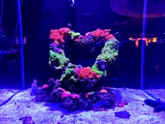 -海合安武汉极地海洋公园