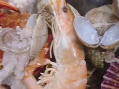 -一口猪海鲜浑锅·东北家常菜