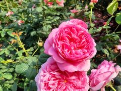 -人民公园(罗湖区)