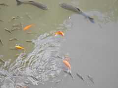 -杭州黄龙洞