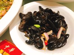 -赛豪大酒店(华熙文化体育中心店)