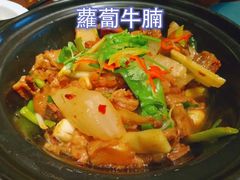 萝卜牛腩-黄但记老店·陈村粉食府